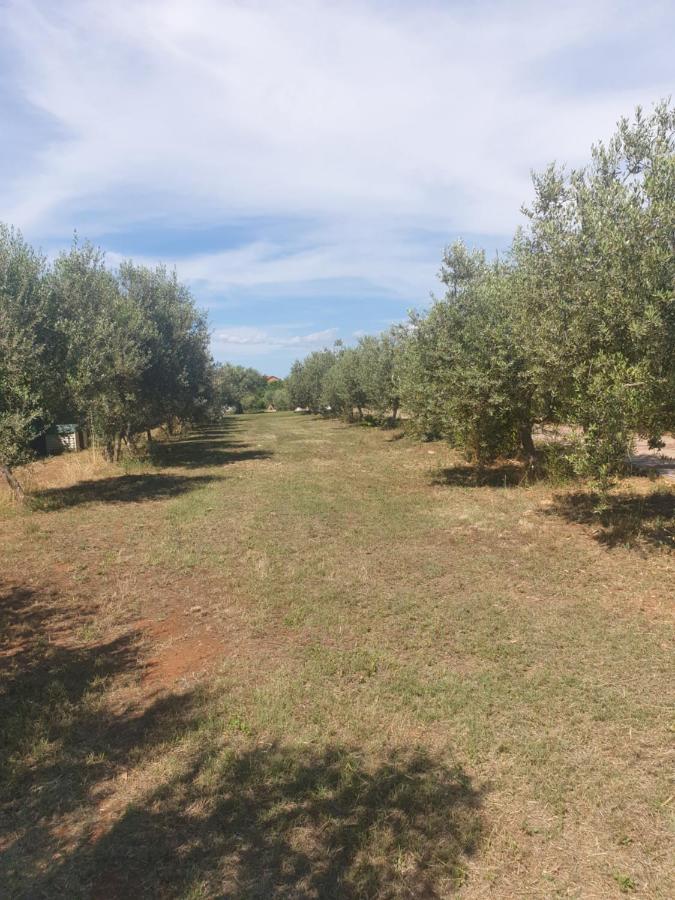 Villa Absolute Privacy Novigrad Istria Exterior foto