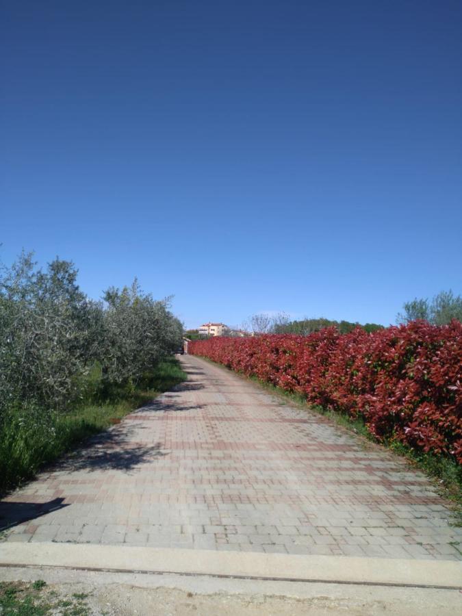 Villa Absolute Privacy Novigrad Istria Exterior foto